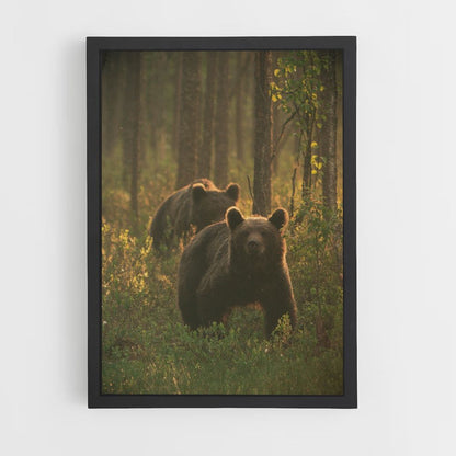 Brown Bear Family Poster