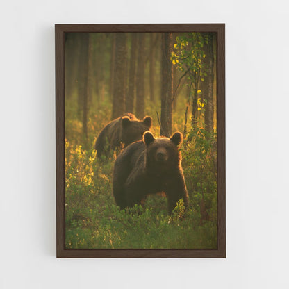 bear-5 cadre Bois foncé