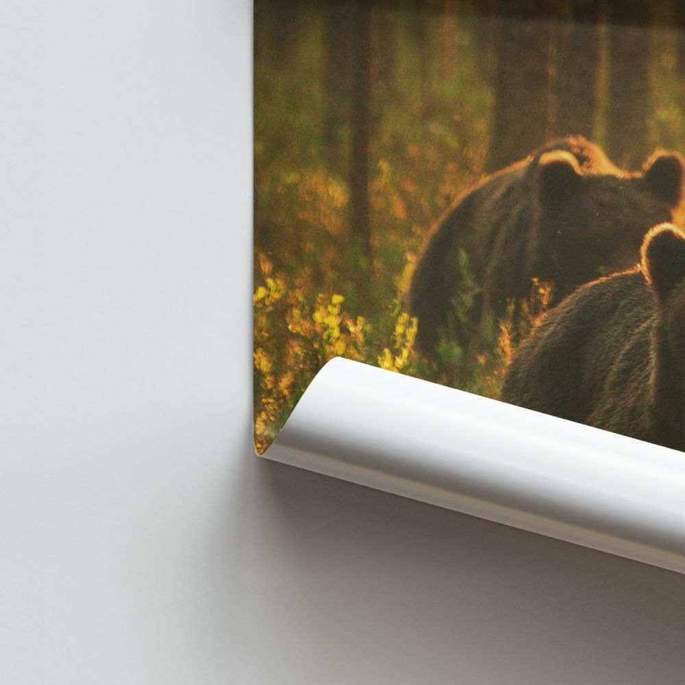 Brown Bear Family Poster