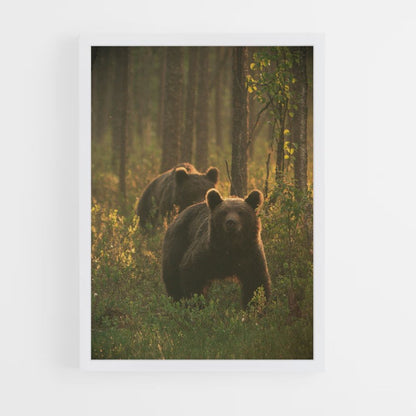 Brown Bear Family Poster