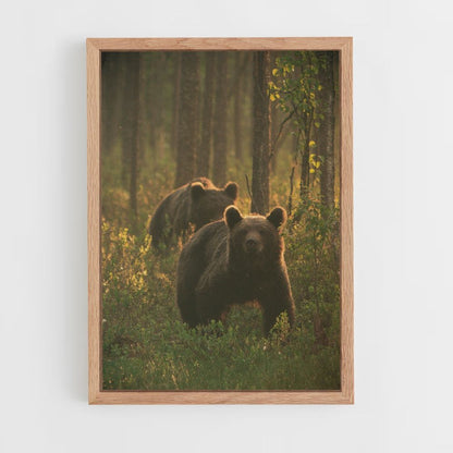 Brown Bear Family Poster