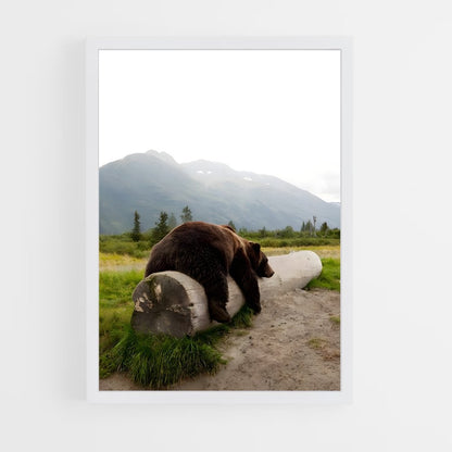 bear-6 cadre Blanc
