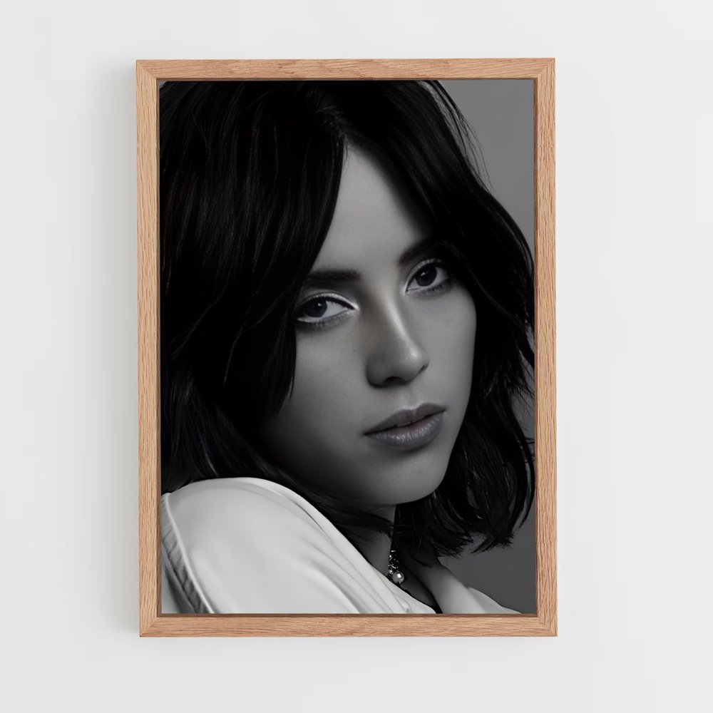billie-eilish-2 cadre Bois clair