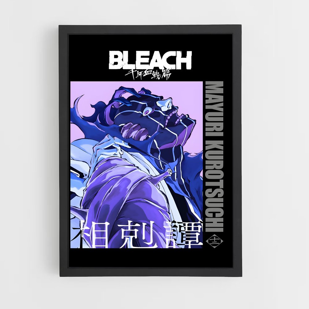 bleach-11 cadre Noir