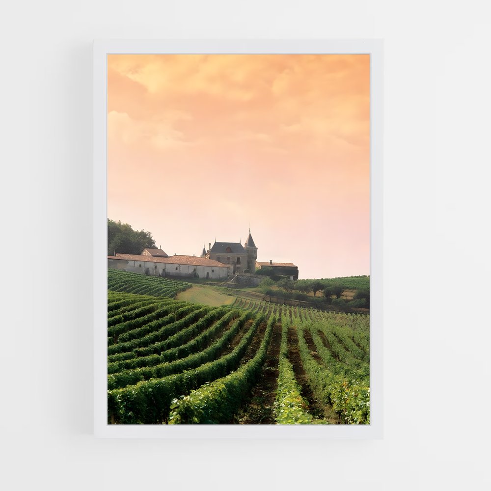 bordeaux-1 cadre Blanc