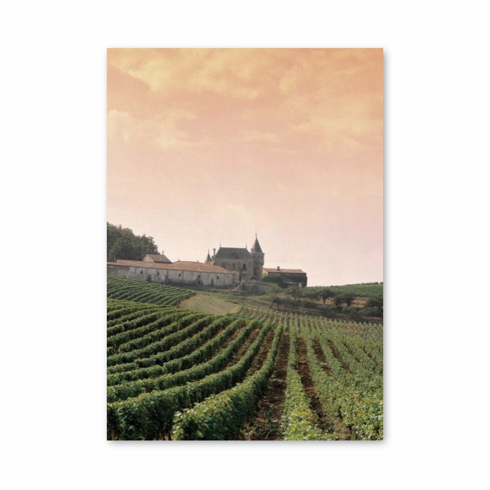 Vineyard Poster