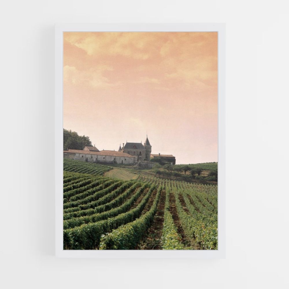 Vineyard Poster