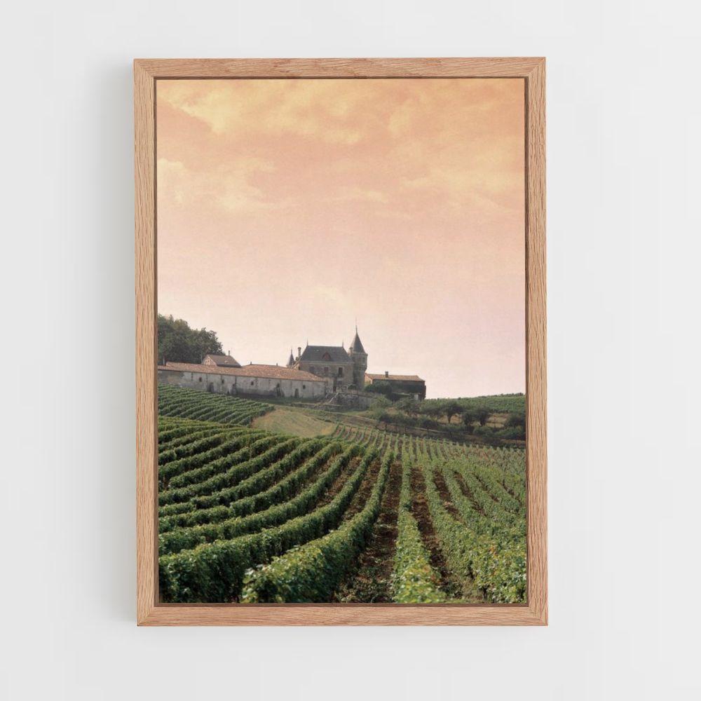 Vineyard Poster