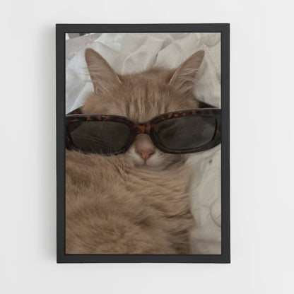 Cat Glasses Poster