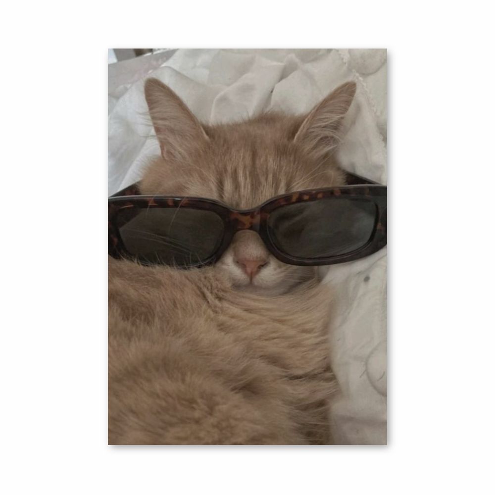 Cat Glasses Poster