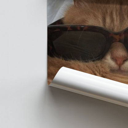 Cat Glasses Poster