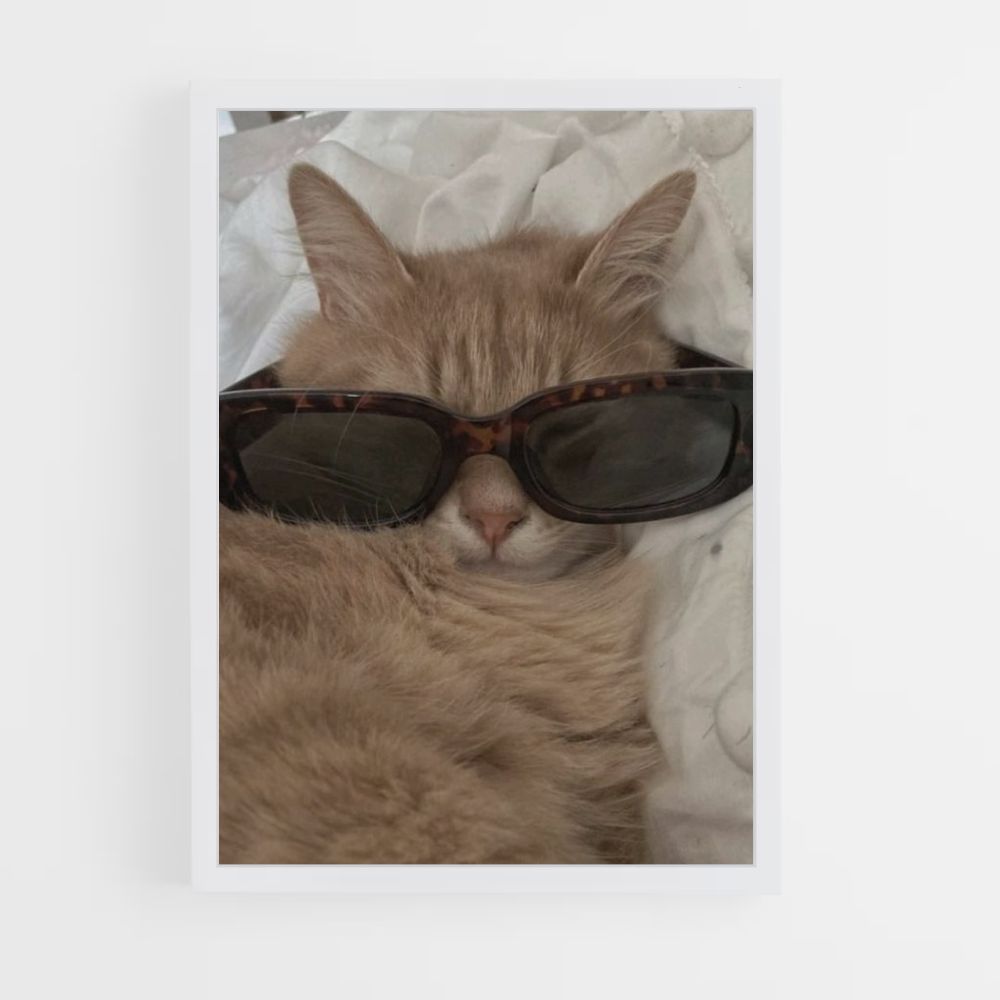 Cat Glasses Poster