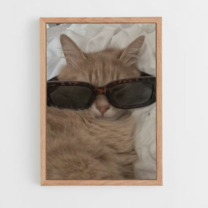 Cat Glasses Poster