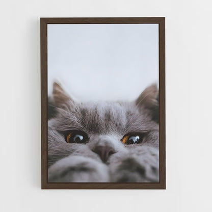 cat-2 cadre Bois foncé