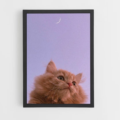 Poster Cat Moon