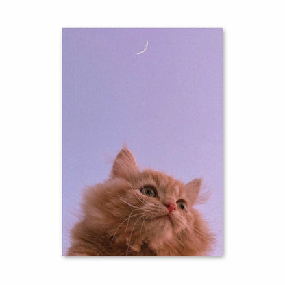 Poster Cat Moon