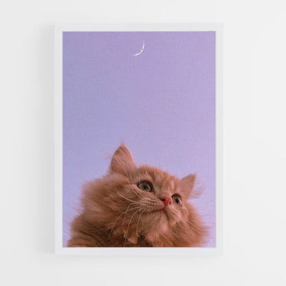 Poster Cat Moon