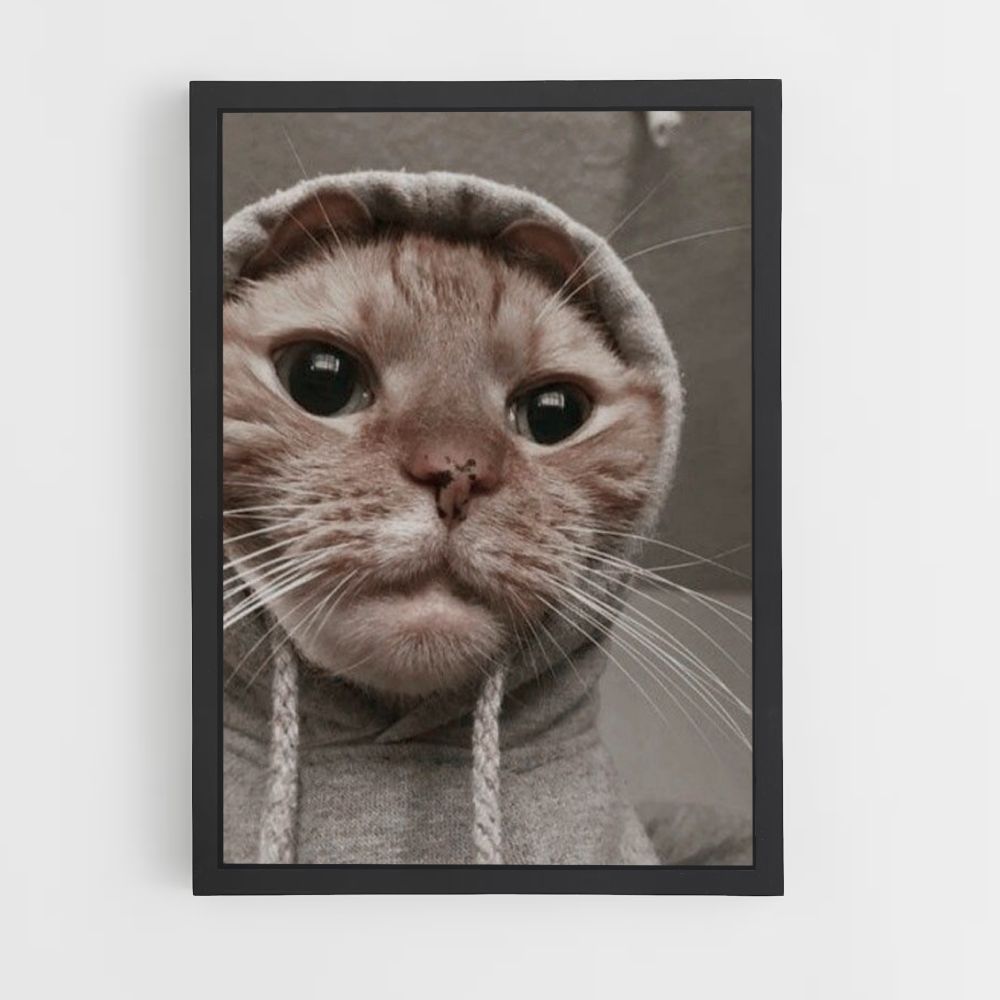 Funny Cat Poster