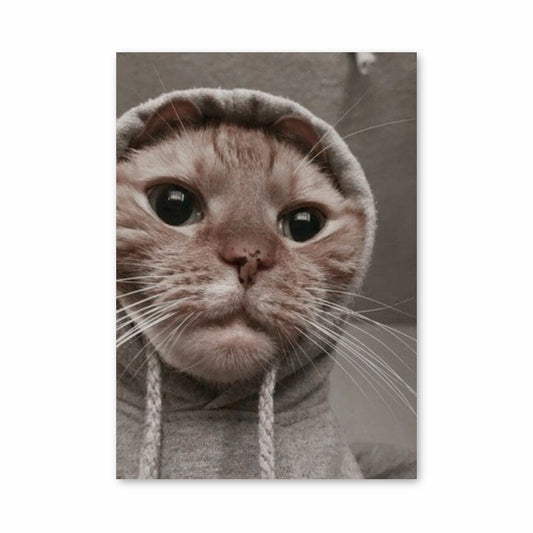 Funny Cat Poster