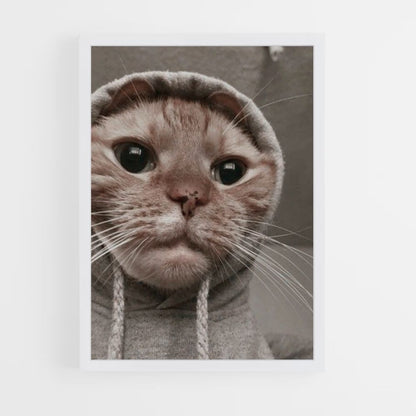 Funny Cat Poster