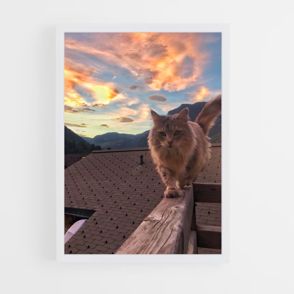 cat-9 cadre Blanc