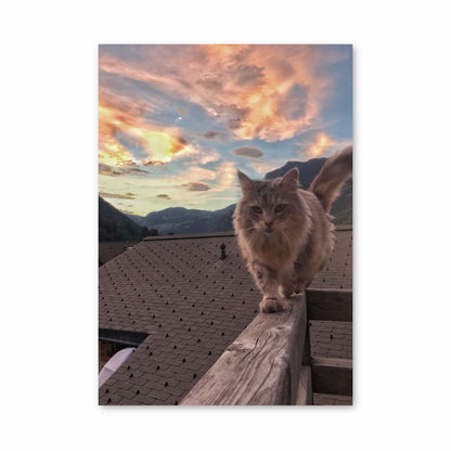 Cat Nature Poster