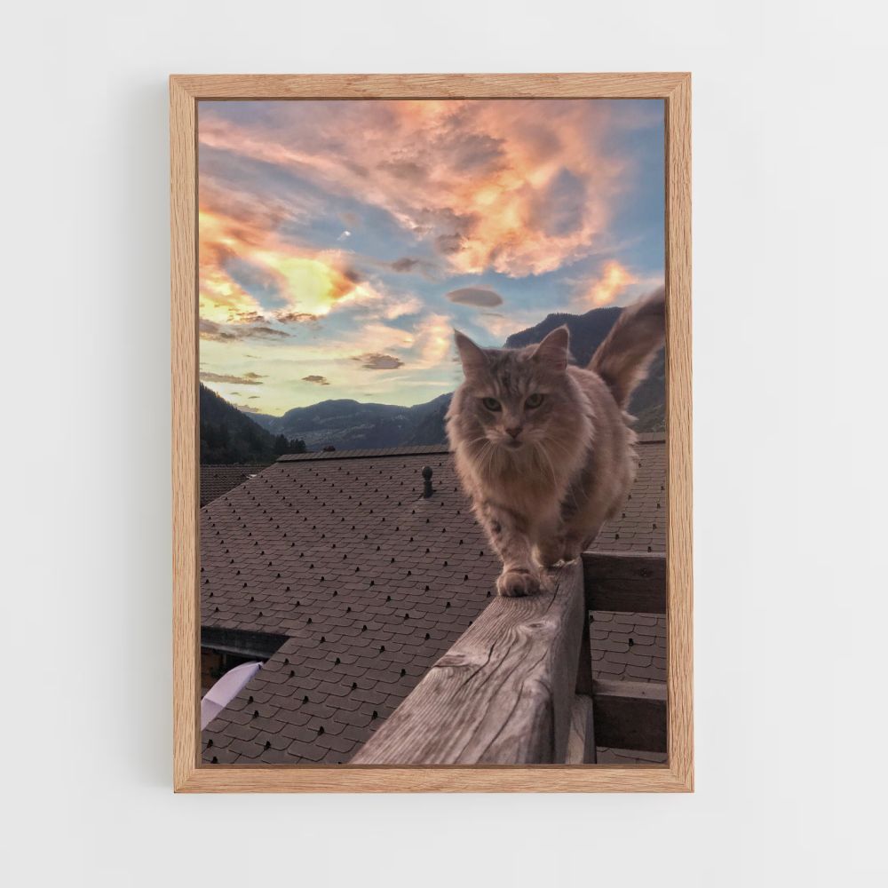 Cat Nature Poster