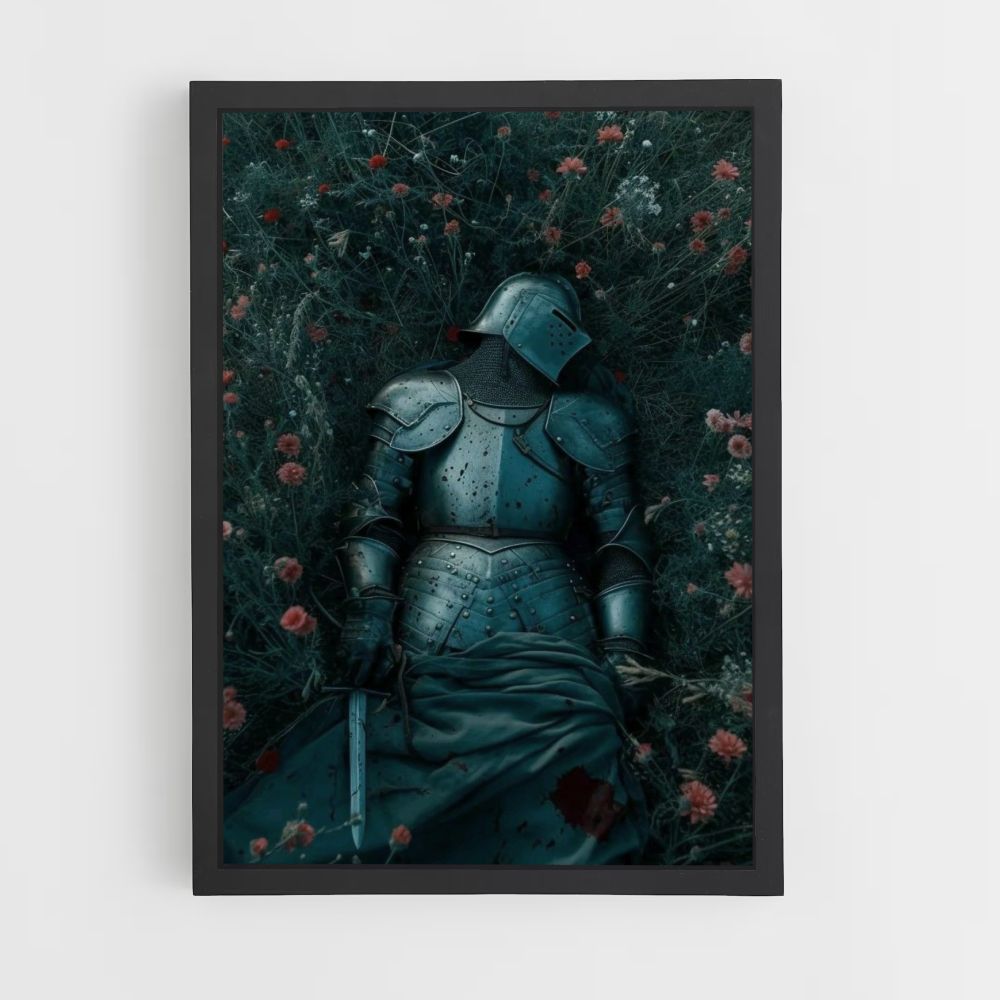 Poster Knight Fields