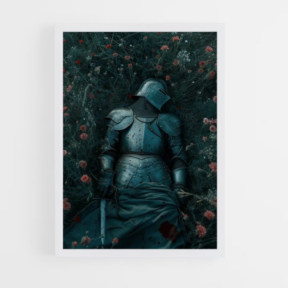 Poster Knight Fields