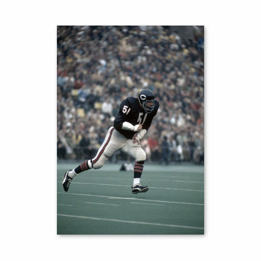 Chicago Bears Race Poster