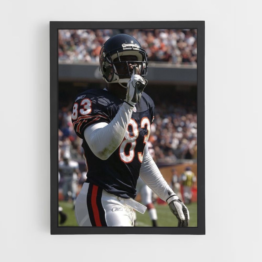 Chicago Bears Hush Poster