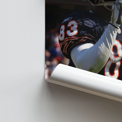 Chicago Bears Hush Poster