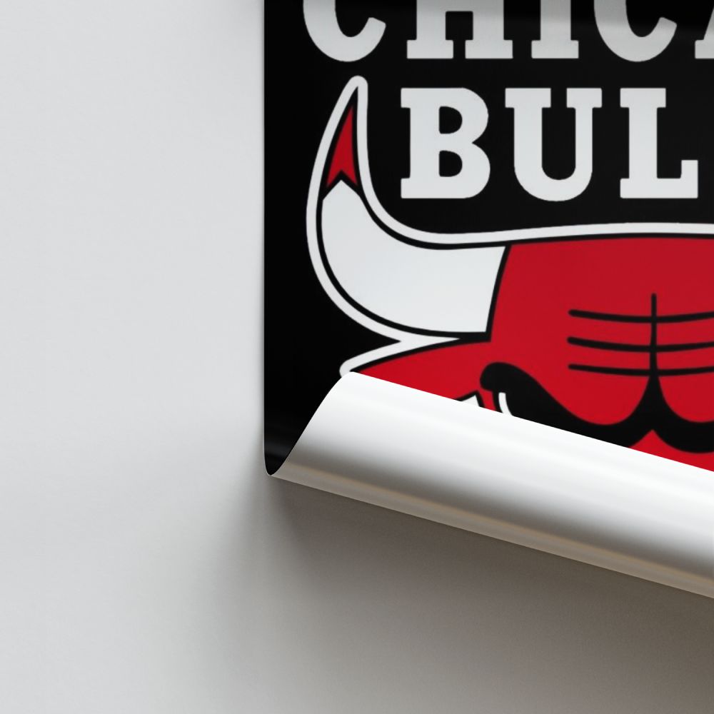 Chicago Bulls Logo Poster