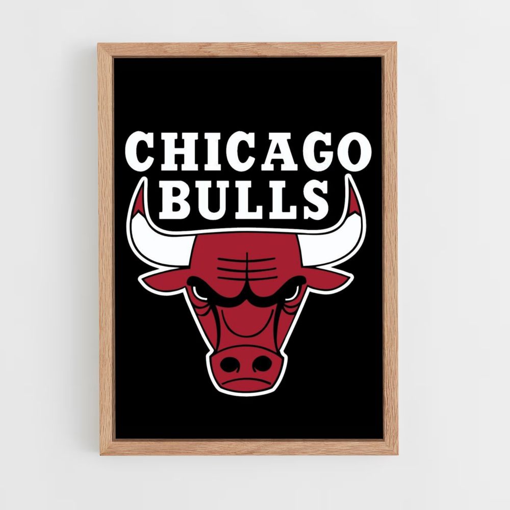 Chicago Bulls Logo Poster