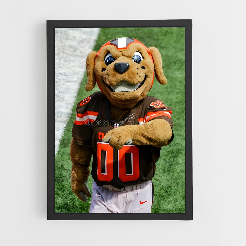 cleveland-browns-3 cadre Noir
