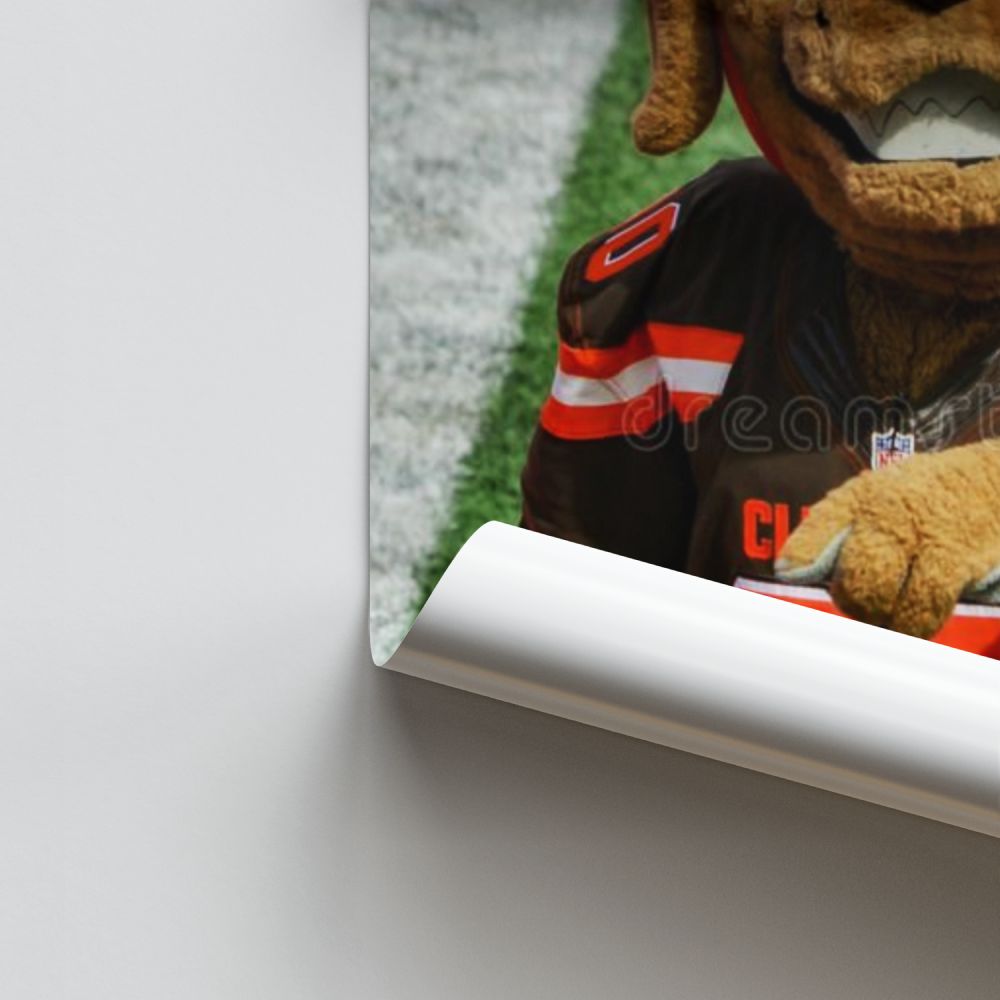 Cleveland Browns Mascot Poster