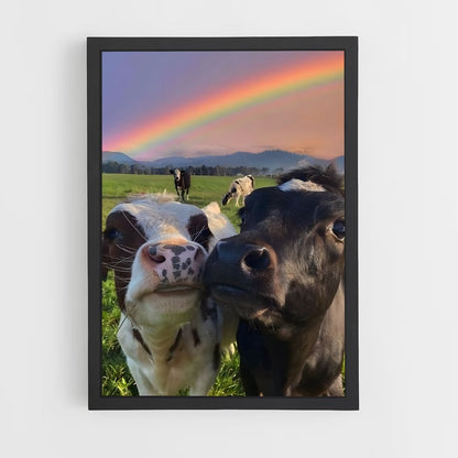 cow-1 cadre Noir