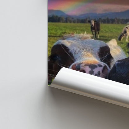 Rainbow Cow Poster