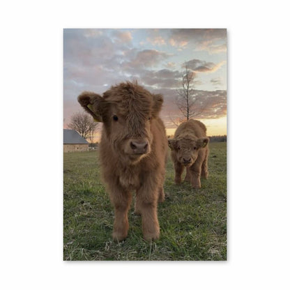 Cute Cow Poster