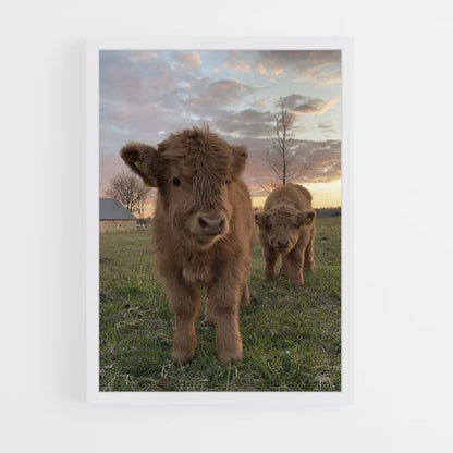 Cute Cow Poster