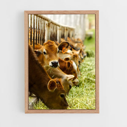 cow-3 cadre Bois clair