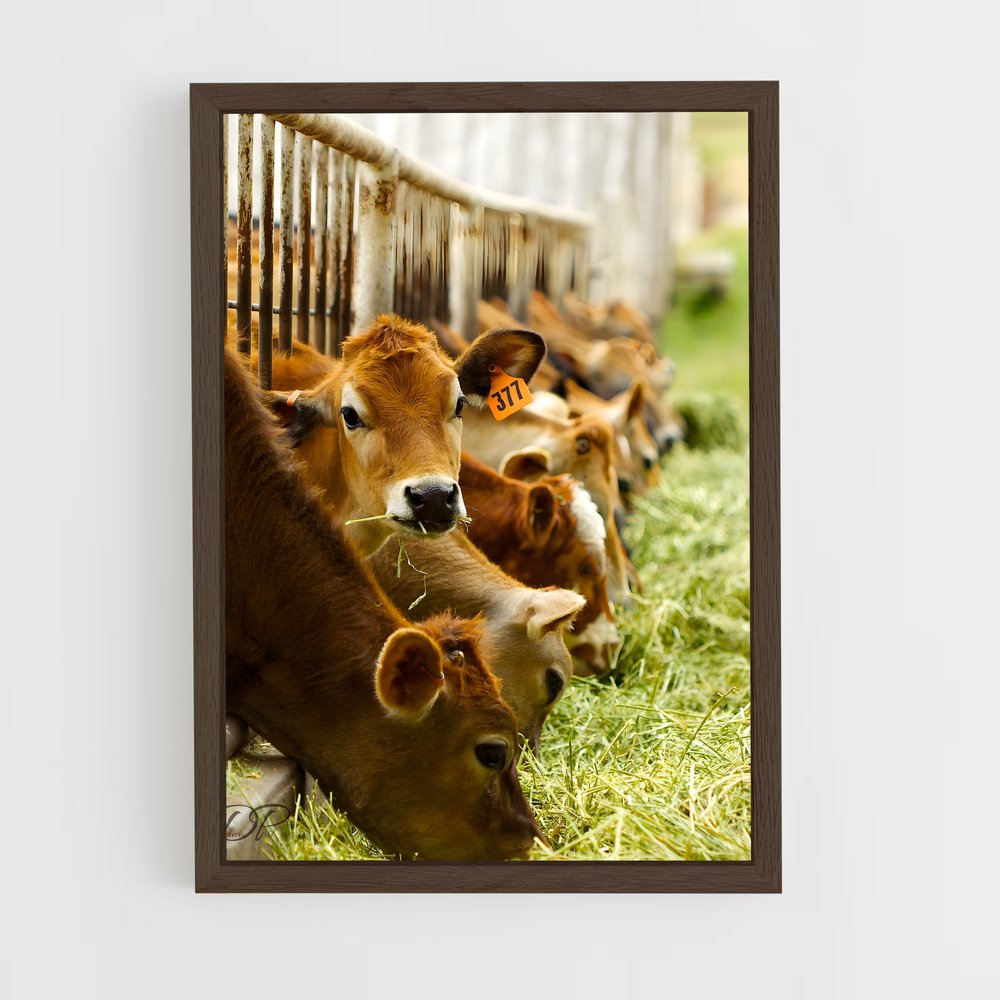 cow-3 cadre Bois foncé