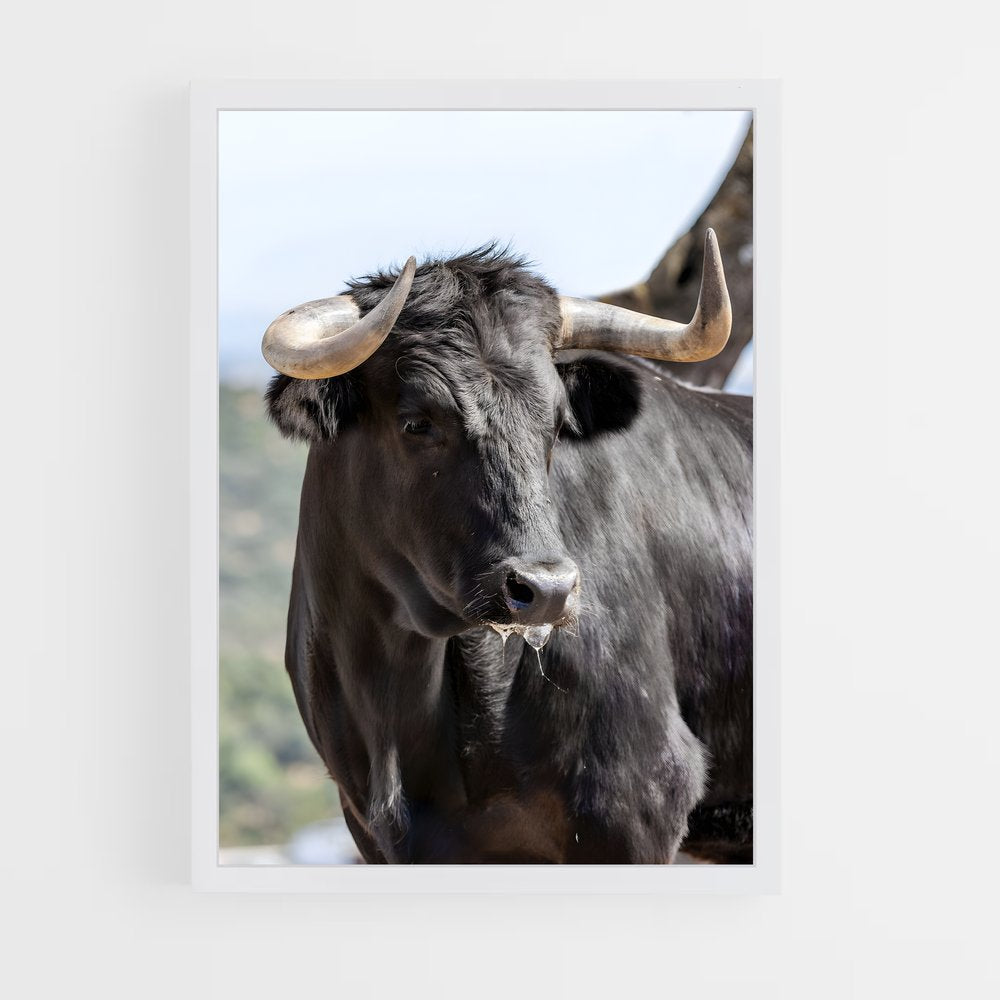cow-4 cadre Blanc
