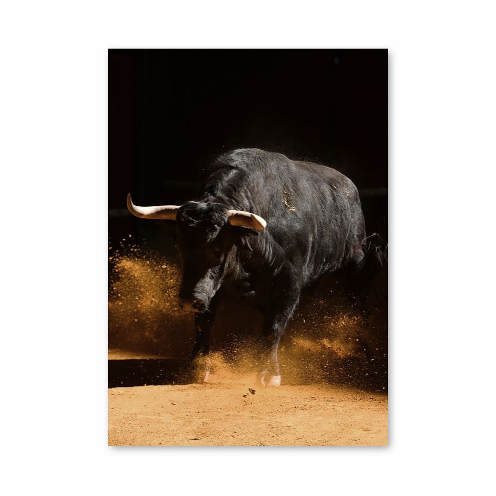 Poster Bull Corrida