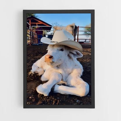 cow-6 cadre Noir