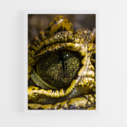 crocodile-10 cadre Blanc