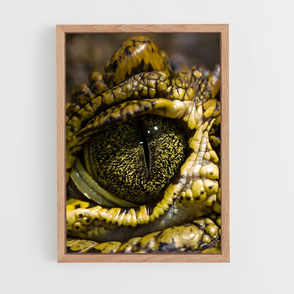 crocodile-10 cadre Bois clair