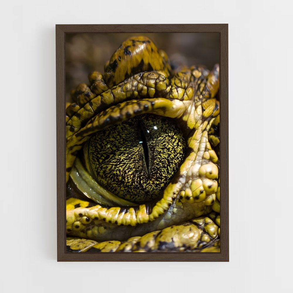 crocodile-10 cadre Bois foncé