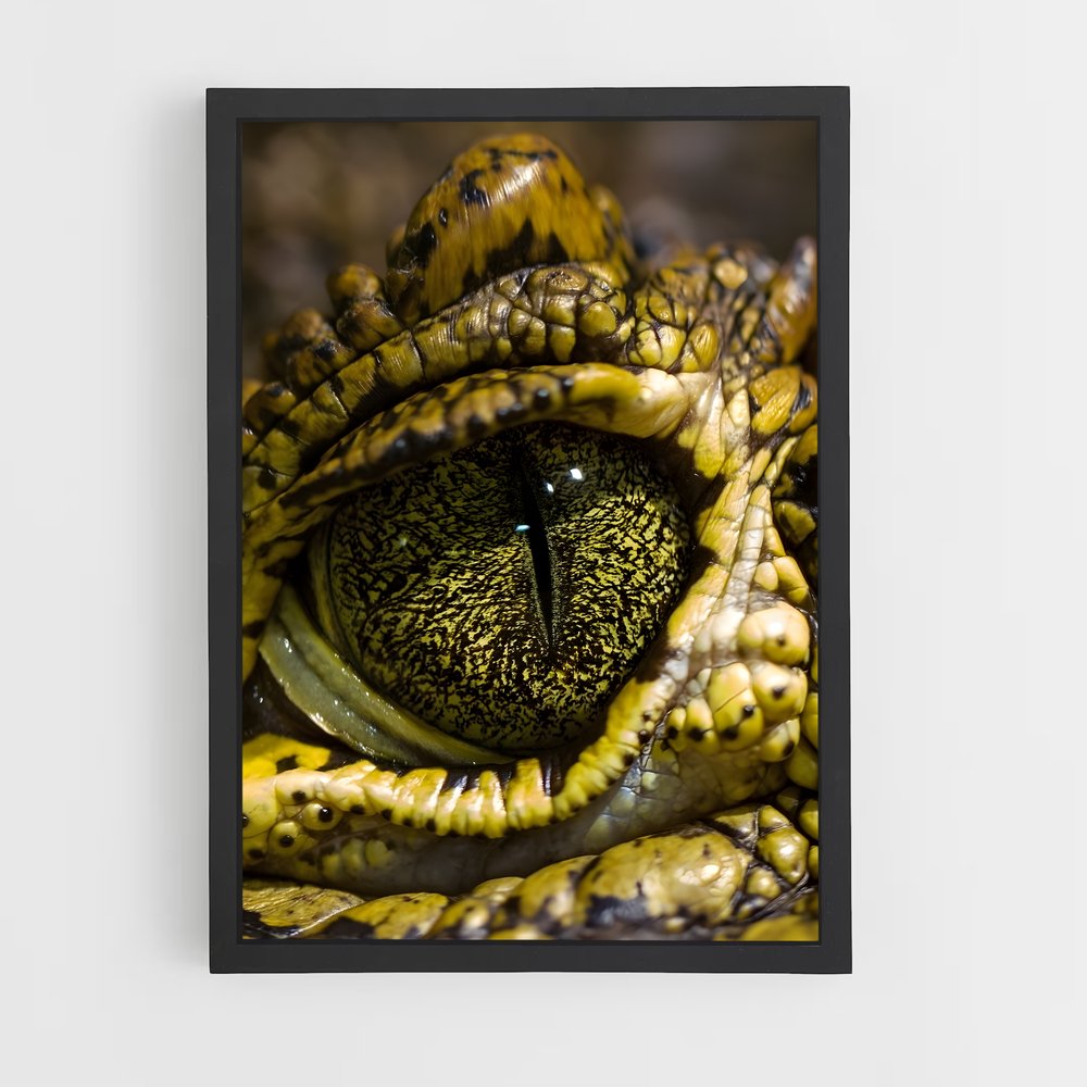crocodile-10 cadre Noir