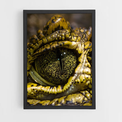 crocodile-10 cadre Noir
